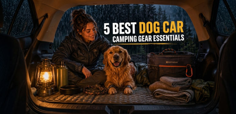 Alex sitting with her Golden Retriever inside a dry car trunk setup with dog Car camping gear during rainy weather.