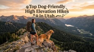 A hiker and her Golden Retriever enjoying a high-elevation scenic viewpoint on dog friendly hikes Utah mountains.